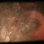 Face à ce qui se présente (texte de la voix off) Face à ce qui se présente