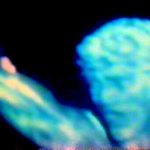 Panier Cinéjournal – Film flamme Photogramme du film Panier Cinéjournal