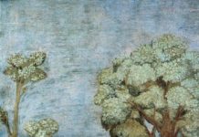 Mon goût cinématographique Fresque de la vie de saint François à Assise, Giotto, XIIIe siècle