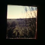 Face à ce qui se présente