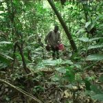 Muantua – Cameroun