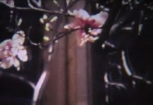 tree stain man (homage to stan)