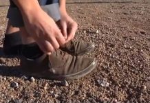 Le manifeste des ânes