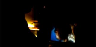 la révolution numérique est terminée