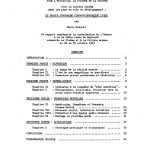 Pour un nouveau cinéma dans les pays en voie de développement : le groupe synchrone cinématographique léger