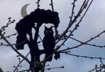 La Marelle et les Epouvantails