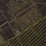 Leçon de choses # 1 : Rivesaltes