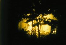 L’image de l’arbre est dans ma main, Trajectoires,