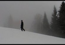 Chronique d’un séjour