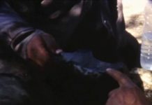 Le mirage et la pierre