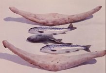 Sayat Nova. Serge Paradjanov