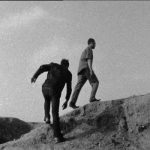 les oiseaux d’Arabie – journal de bord