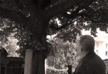 L’après-midi près du tombeau de Falconetti / Afternoon Near the Tomb of Falconetti