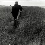 Quelque part en Normandie