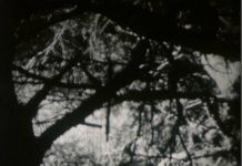 Au bois des Aresquiers