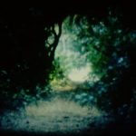 Je ne suis que ce par où ça passe