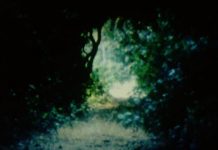 Je ne suis que ce par où ça passe