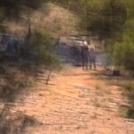 Bruxelles. Filmer à tout prix. Carte blanche à Dérives