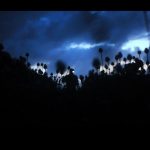 Discussion avec Jean-Baptiste Alazard et Julie Borvon