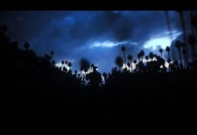 Discussion avec Jean-Baptiste Alazard et Julie Borvon