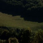 Dove non siamo stati