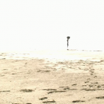 «L’Héroïque Lande – La Frontière brûle» : Des vies électriques