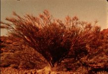 Paris. Séance Philippe Cote : Cheminer dans les éléments