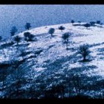 Autrement la Molussie