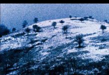 Autrement la Molussie