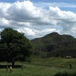 Hiver 2021. Ça a recommencé, l’émerveillement