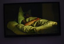 Le rêve d’une statue