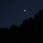 Simon, at the crack of dawn