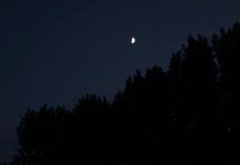 Simon, at the crack of dawn