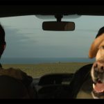 Sur la route de Bréauté