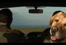 Sur la route de Bréauté