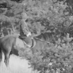 Marguerite et le dragon