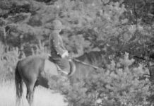 Marguerite et le dragon