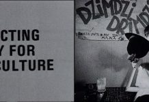 Les palestiniens du cinéma