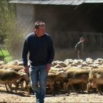 Les Repérages agricoles 1. Eté, automne, hiver