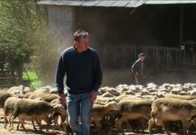 Les Repérages agricoles 1. Eté, automne, hiver