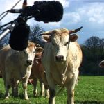 Les Repérages agricoles 2. Le Printemps