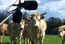 Les Repérages agricoles 2. Le Printemps