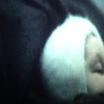 Elégie de Russie de Alexandre Sokourov