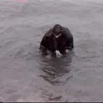 Marché de l’individu et disparition de l’expérience