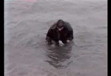 Marché de l’individu et disparition de l’expérience