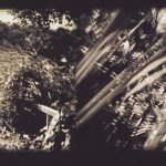 Ma rencontre avec le Collectif Jeune Cinéma