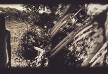 Ma rencontre avec le Collectif Jeune Cinéma