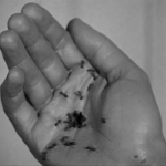 Buñuel. Poésie et Cinéma