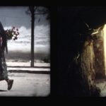 D’où venait-elle ? Où allait-elle ?