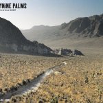 29 Palms. Note d’intention